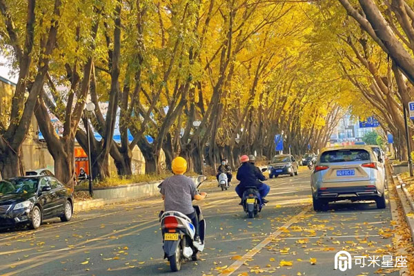福州全市中小学停课停学一天